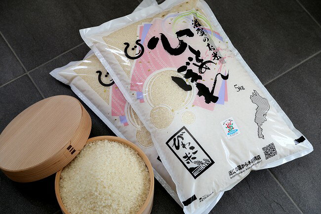 【新米！】ひとめぼれ　環境こだわり米　10kg【平成29年・滋賀県産】【送料無料】