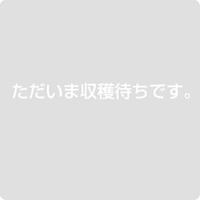 新米 夢ごこち 白米 玄米 10kg 令和5年 滋賀県産 米 お米 送料無料