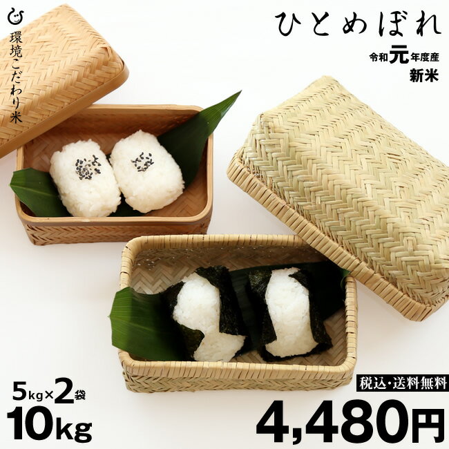 新米！【令和元年：滋賀県産】ひとめぼれ 10kg（5kg×2袋） 環境こだわり米 【送料無料】