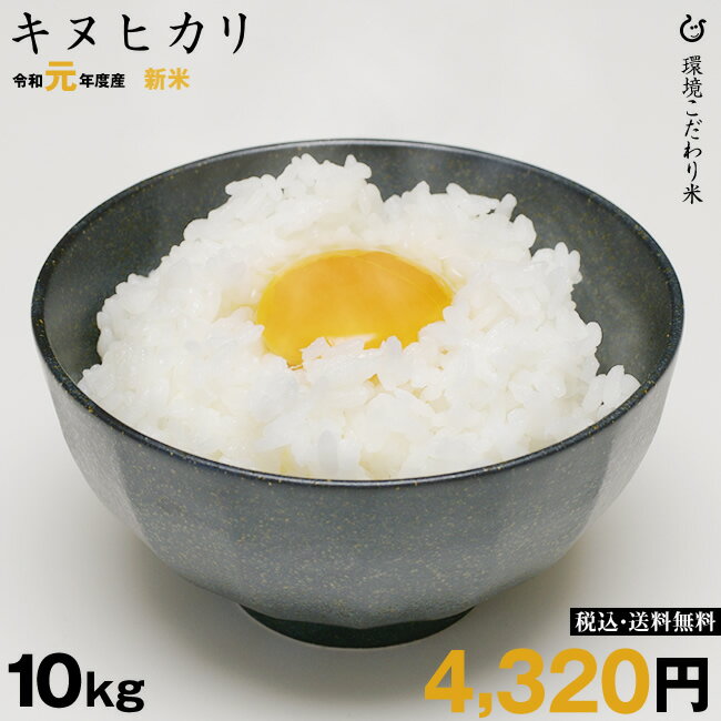 新米！【令和元年：滋賀県産】キヌヒカリ 環境こだわり米　10kg 【送料無料】出荷日お選び頂けます！