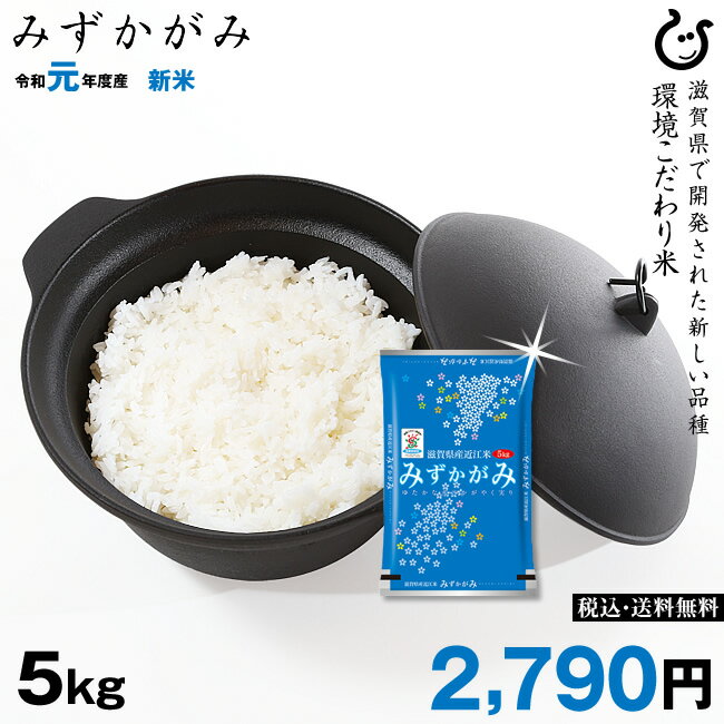 新米！【令和元年：滋賀県産】みずかがみ 5kg 環境こだわり米 【送料無料】...