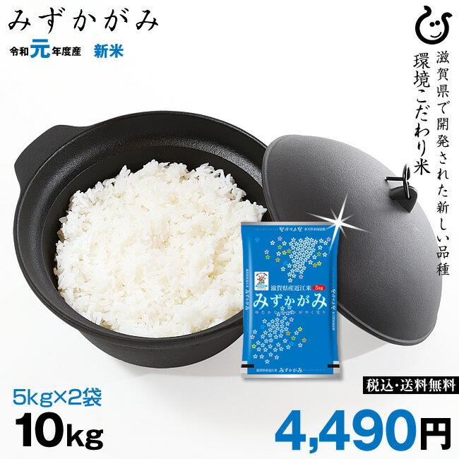 新米！【令和元年：滋賀県産】みずかがみ 10kg（5kg×2袋） 環境こだわり米 【送料無料】