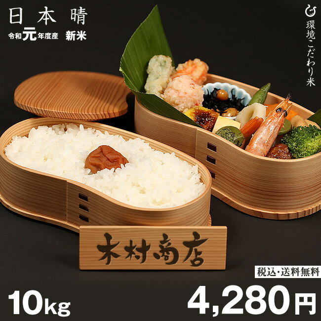 日本晴　環境こだわり米 10kg【令和元年：滋賀県産】【送料無料】