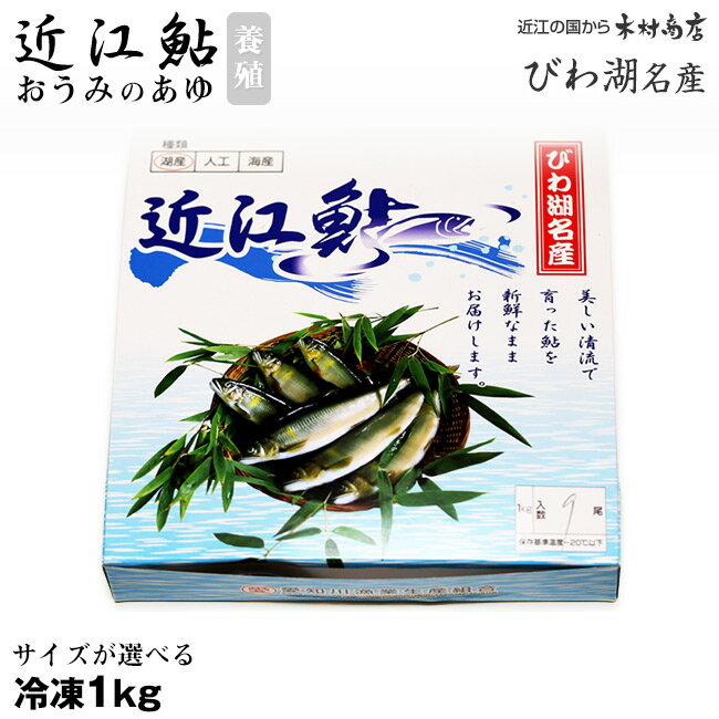 冷凍鮎 近江鮎 1kg びわ湖名産 滋賀県産のサムネイル