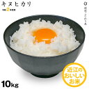 【新米】キヌヒカリ 10kg 環境こだわり米【令和2年:滋賀...