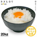【新米】キヌヒカリ 環境こだわり米 玄米のまま 20kgもし...