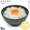 【新米】キヌヒカリ 環境こだわり米 5kg 【令和2年:滋賀...