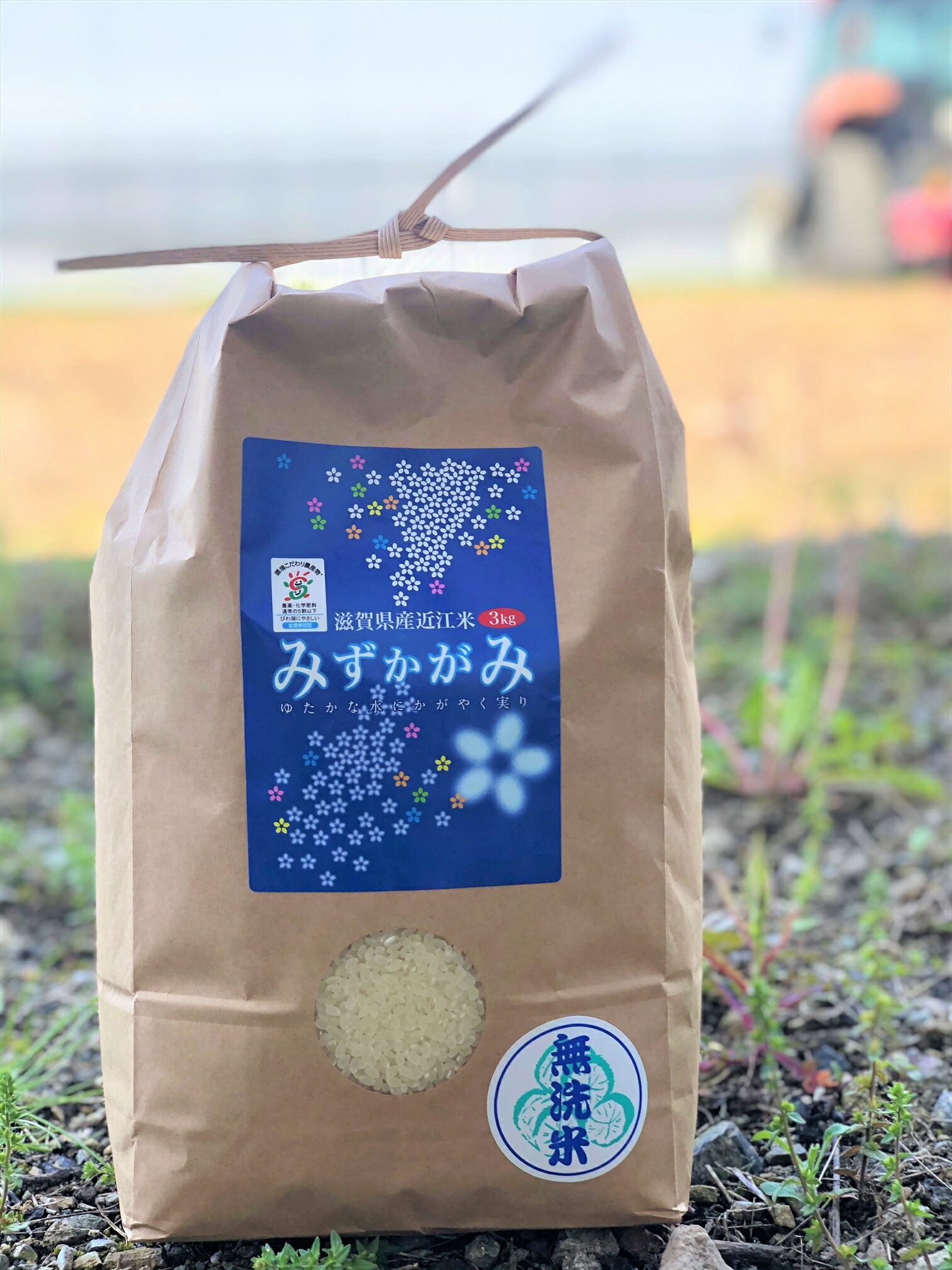 ★★無洗米★★ みずかがみ 3kg 環境こだわり米 【令和2年：滋賀県産】【送料無料】