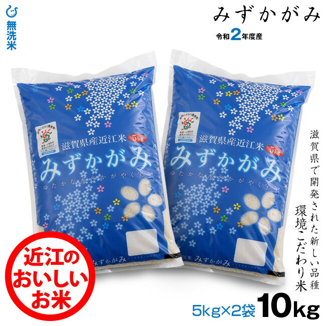 ★★無洗米★★ みずかがみ 5kg×2袋 環境こだわり米 【令和2年：滋賀県産】【送...