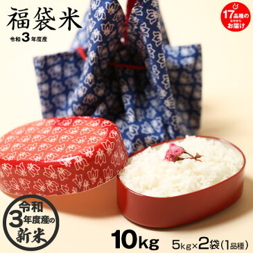 福袋米 10kg (5kg×2袋) 白米 お米 令和3年 滋賀県産 一品種でのお届け♪