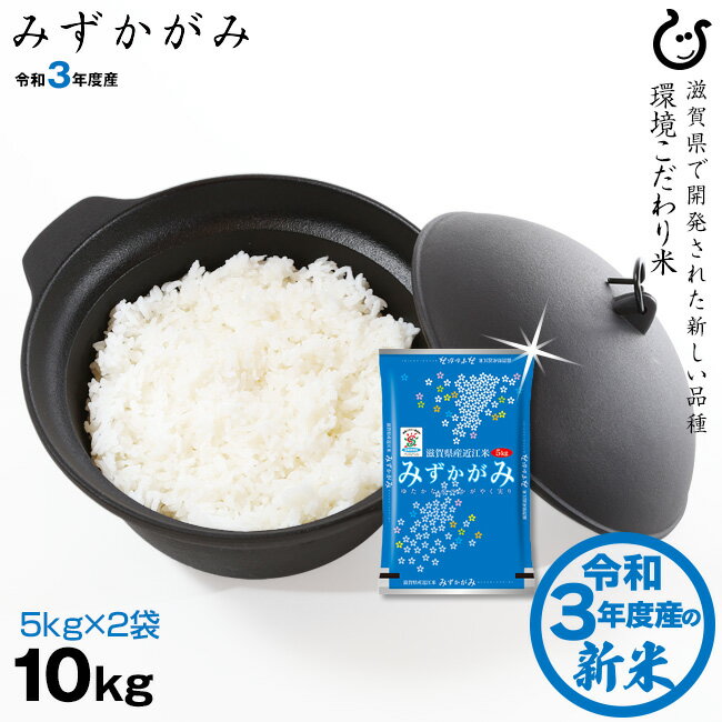 楽天市場 新米 楽天p5倍 みずかがみ 10kg 5kg 2袋 環境こだわり米 令和3年 滋賀県産 送料無料 近江の国から木村商店 未購入を含む みんなのレビュー 口コミ