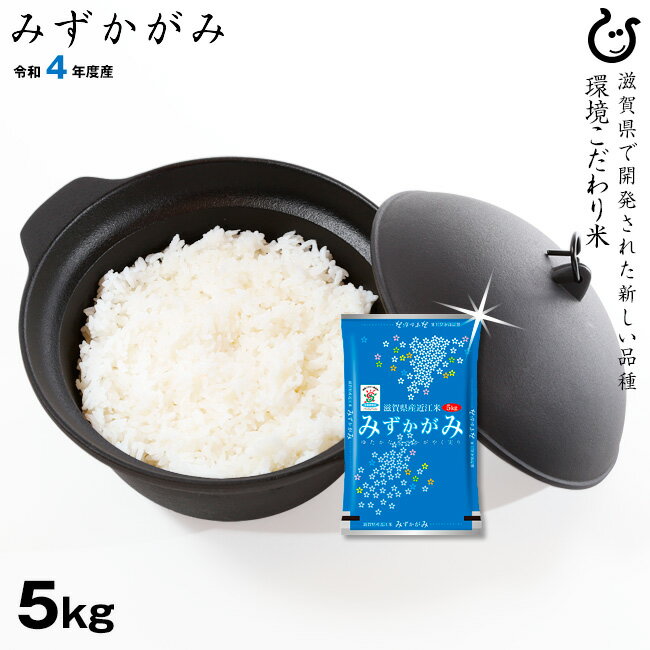 ★★無洗米★★ みずかがみ 5kg 環境こだわり米 お米 令和4年 滋賀県産 送料無...