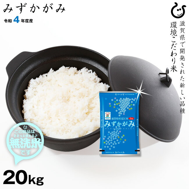 【新米】★★無洗米★★みずかがみ 20kg お米 環境こだわり米 令和4年 滋賀県産 送料無料