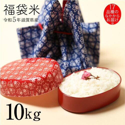 【送料無料】福袋米 10kg (5kg×2袋) 白米 お米 令和5年 滋賀県産 一品...