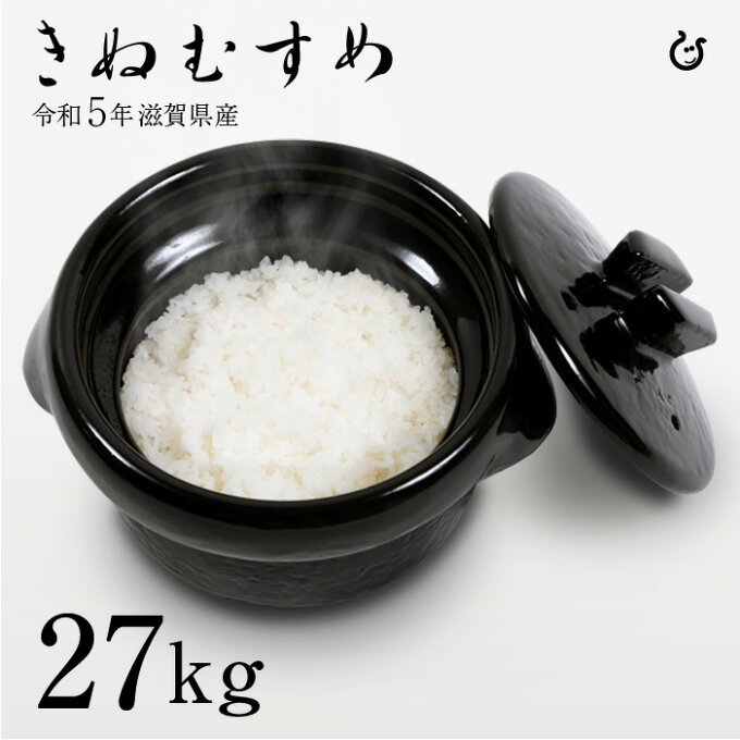 新米 きぬむすめ 白米 27kg 令和5年 滋賀県産 米 お米 送料無料