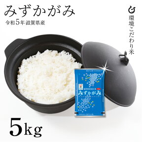 【特A】みずかがみ 5kg 令和5年 滋賀県産 米 お米 送料無料 環境こだわり米 80