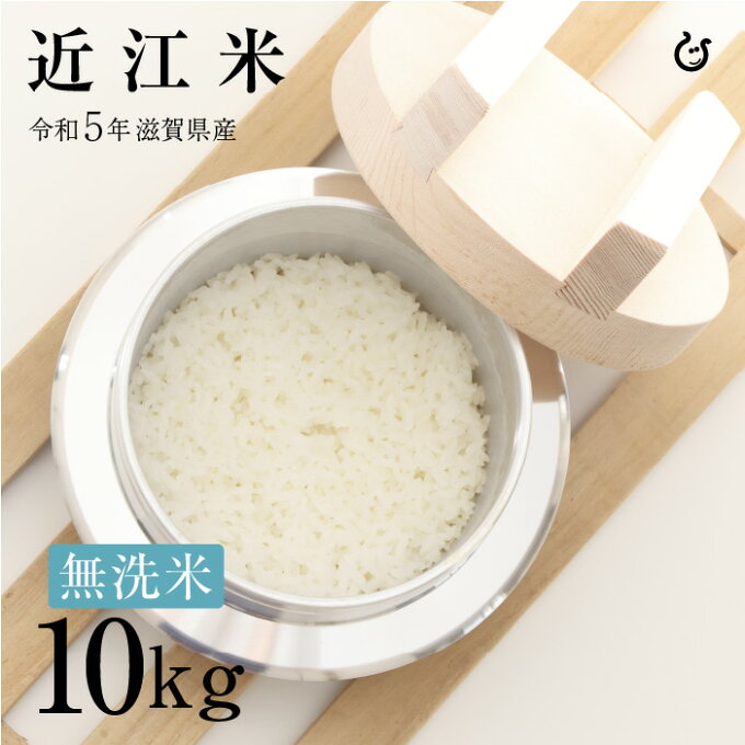 新米 ★★無洗米★★ 近江米10kg 10kg×1袋 令和5年 滋賀県産 米 送料無...