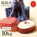 新米 ★★無洗米★★ 福袋米10kg 滋賀産 令和7年 同一品種でのお届け♪ 80
