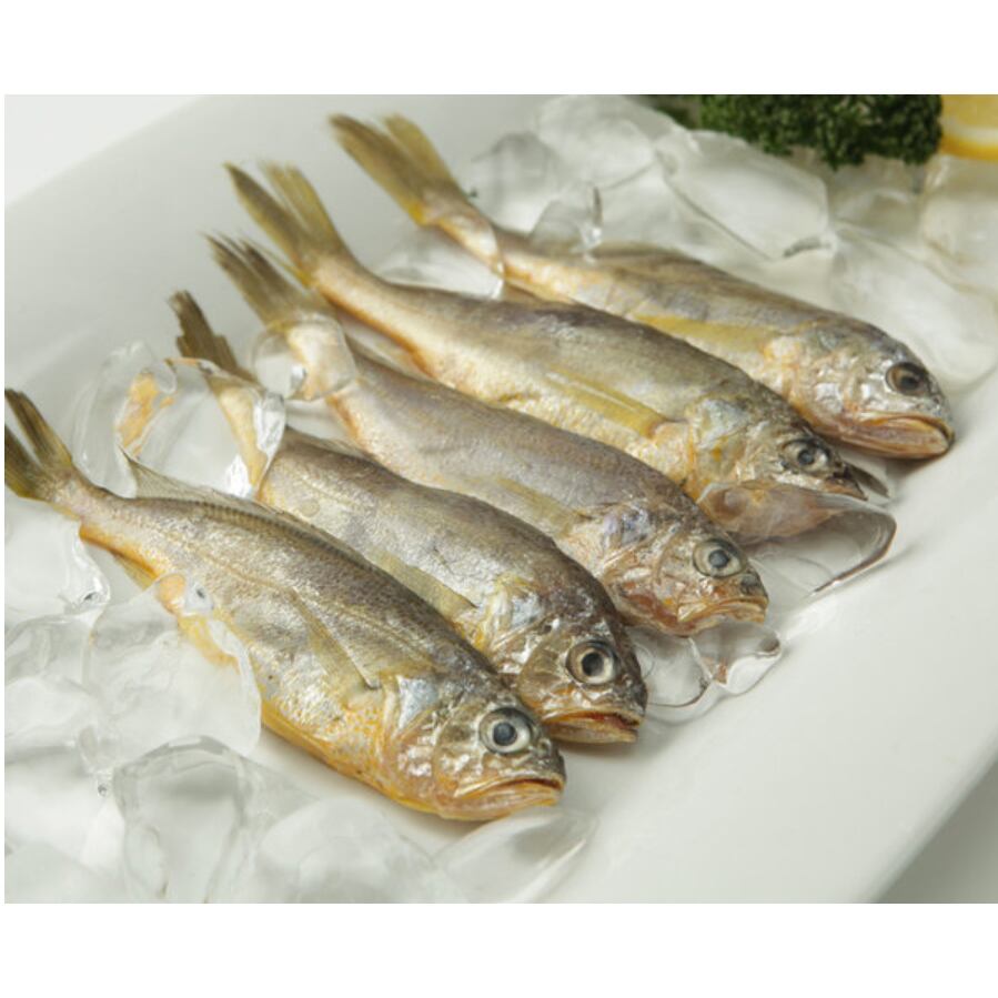 冷凍生チョギ（チョグ）1匹　イシモチ/いちもち｜韓国チェサ用魚｜韓国法事用食材 韓国料理 韓国食品 韓国 【秋本商店】【神戸で人気の韓国珍味】のサムネイル