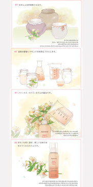 【送料無料(北海道、東北、沖縄、離島は別途送料)】韓国コスメ マモンド 【Mamonde】ファースト エナジー セラム 100ml