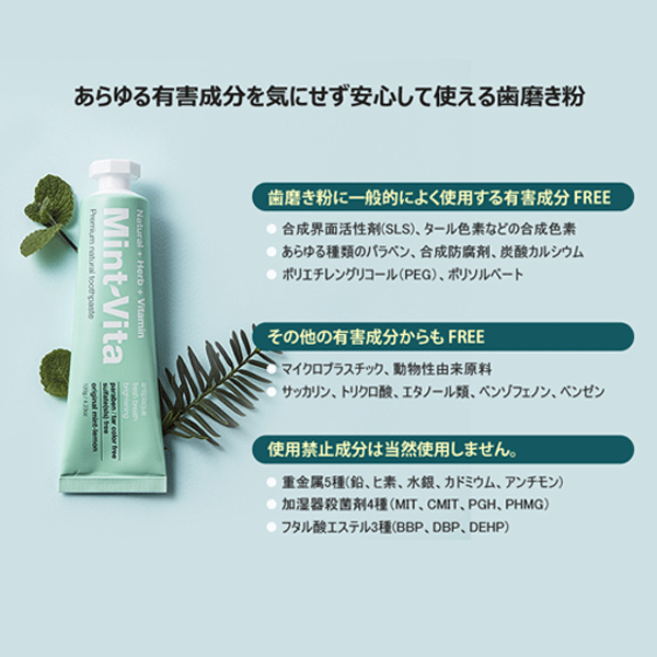 MintVita Strong Plaquecare ミントビタ ストロングプラークケア(歯垢ケア強化タイプ) 120g 歯磨き粉 韓国 口臭 歯石 タバコ 歯の黄ばみ 虫歯 歯周病 デンタルケア Natural Herb Vitamin ナチュラル ハーブ ビタミン ミント 2
