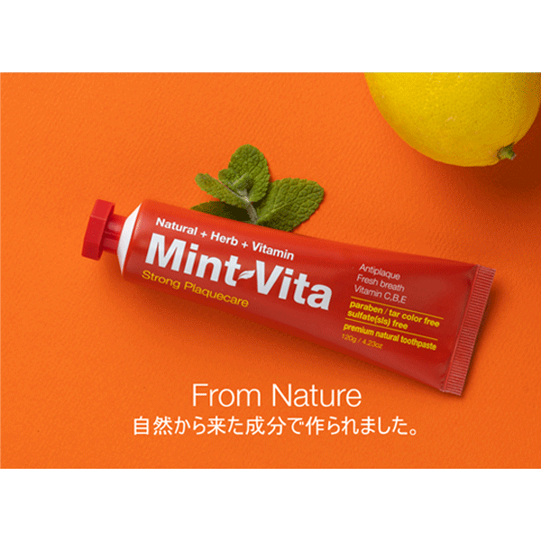 MintVita Strong Plaquecare ミントビタ ストロングプラークケア(歯垢ケア強化タイプ) 120g 歯磨き粉 韓国 口臭 歯石 タバコ 歯の黄ばみ 虫歯 歯周病 デンタルケア Natural Herb Vitamin ナチュラル ハーブ ビタミン ミント 3