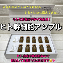 SIXMONTHLAB SIXMONTH BSF 39 AMPOULE 6ml×10ea 韓国コスメ 送料無料 ヒト幹細胞 アンプル リジュラン ヒト幹細胞アンプル