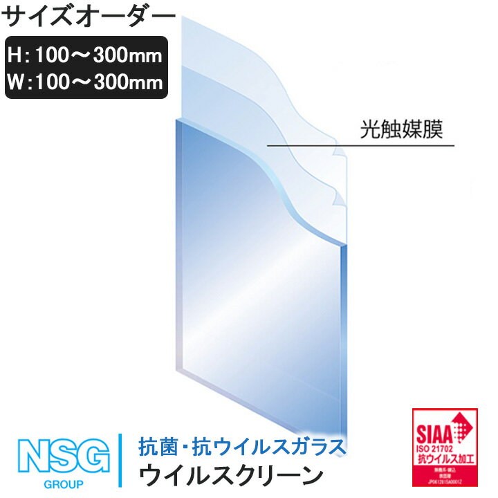 サイズオーダー 抗菌ガラス・ウイルスクリーン H:100mm-300mm×W:100mm-300mm ガラス ウイルスクリーンアルファ 仕切りガラス 窓 仕切り パーテーション オフィス 間仕切り 飛沫防止 光触媒膜