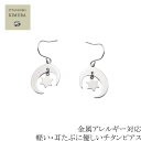 即納 チタン 加工 プロショップ制作 オール チタン ピアス Moon Star Type1 セカンドピアス ギフト ニッケルフリー 左右1ペア