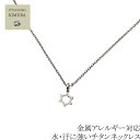 チタンネックレス チタン ネックレス ペンダント トップ puchi-Shine 女性 レディース ギフト プレゼント 金属アレルギー対応 ニッケルフリー つけっぱなし