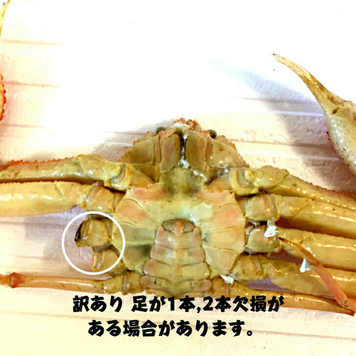 【国産】冷凍 茹で 松葉がに 訳あり小 総量1.5kg (4〜7枚) 松葉蟹 松葉がに 松葉ガニ ズワイガニ 姿 ボイル 蟹 訳あり 海鮮 ボイルカニ ボイルズワイガニ カニ 姿 美味しい おいしい お徳 お得 鳥取県