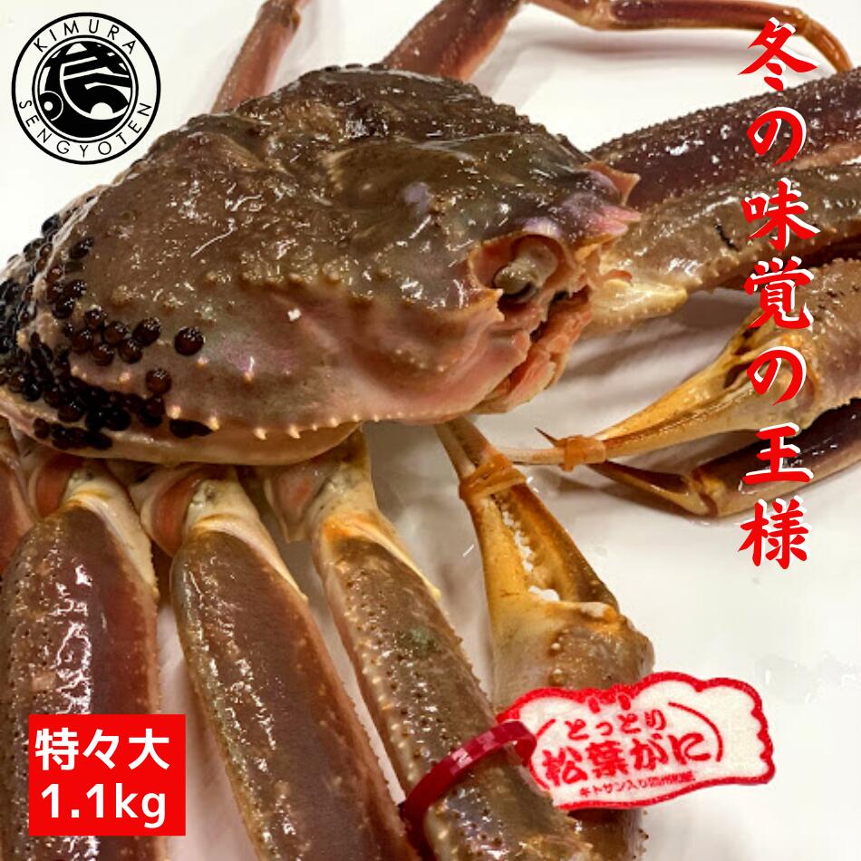 【特々大】 タグ付き 活 松葉がに 1枚 1,1kg 松葉ガニ 松葉蟹 ズワイガニ 姿 生 カニ 姿 超特大 刺身 鍋 美味しい おいしい カニ ギフト 贈答 鳥取県 木村鮮魚店