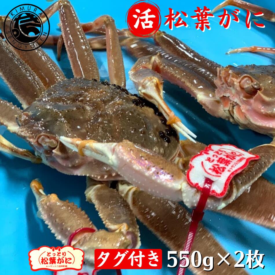 【タグ付き】 活 松葉がに 550g×2枚 松葉蟹 松葉がに 松葉ガニ 活 ズワイガニ 姿 生 カニ 姿 刺身 鍋 美味しい おいしい カニ ギフト 贈答 鳥取県 木村鮮魚店