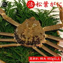 活 松葉ガニ 足折れ【特大】 1kg前後 1枚 松葉がに 鳥取 松葉蟹 冬ギフト ズワイガニ カニ 刺身 蟹 鍋 かに 新物 冬 グルメ 海鮮 お取り寄せ ギフ...
