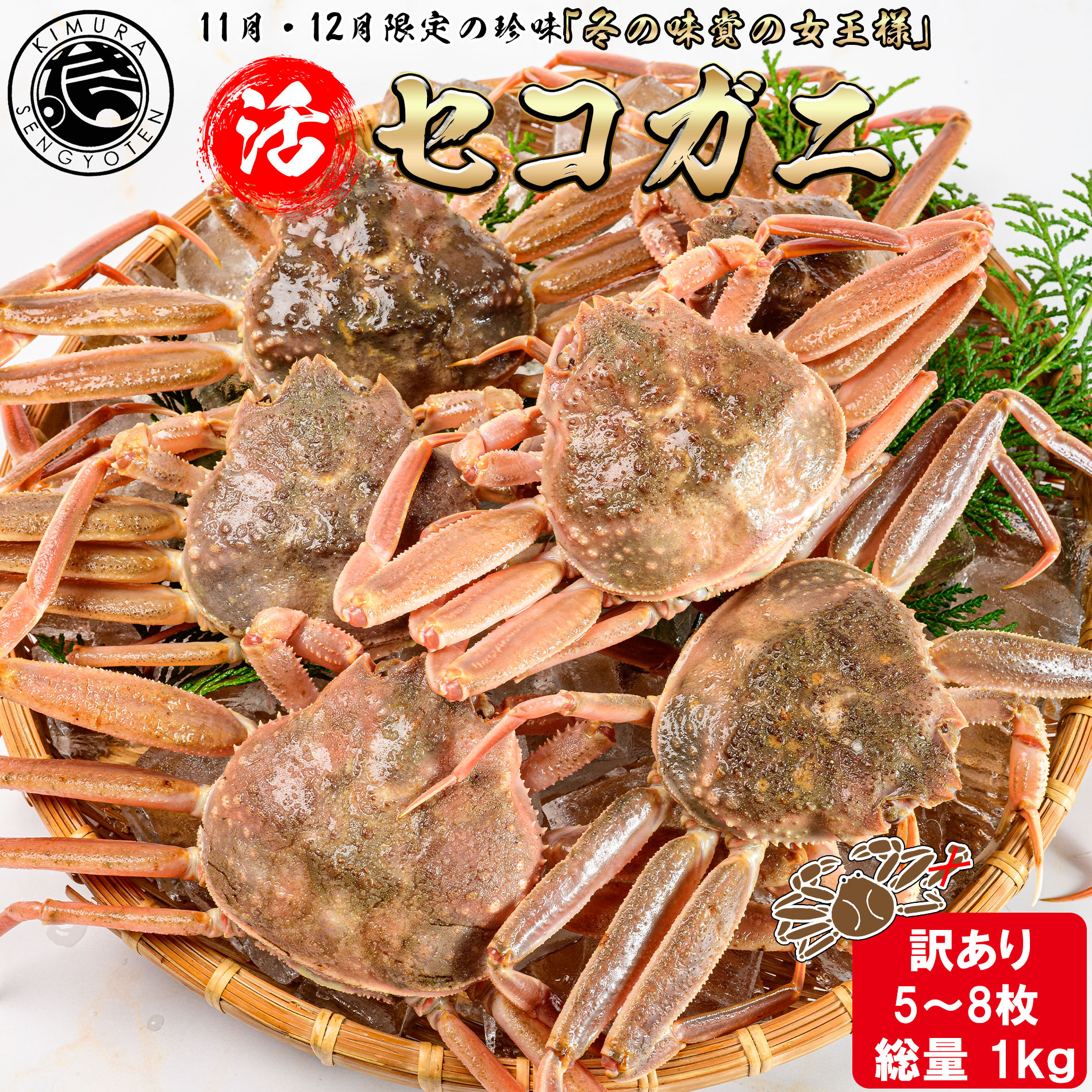   ­ޤ 58祻åȡ 1kg  ƥ  磻 ե ᥹  ߥե     ʪ ...