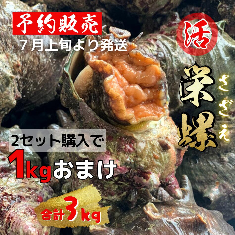 海鮮bbq活きた生のサザエ 今年も話題の お刺身 壺焼きサザエ 1kg 2セット購入で1kgおまけ合計3kg 活 サザエ 島根県産 さざえ 生 栄螺 壺焼き 冷蔵便 生ビール つぼ焼き 海鮮お取り寄せ q ギフト 海鮮バーベキューセット 贈答 海鮮bbq 海鮮bbq 贈り物 美味しい