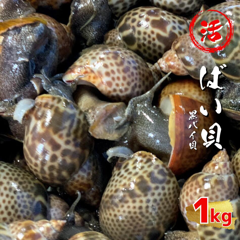  Ф 1kg (4060) Х    Ĥޤ ռ Ĥޤ ѤĤ  ſɼ Х Х ܥХ Ϸ