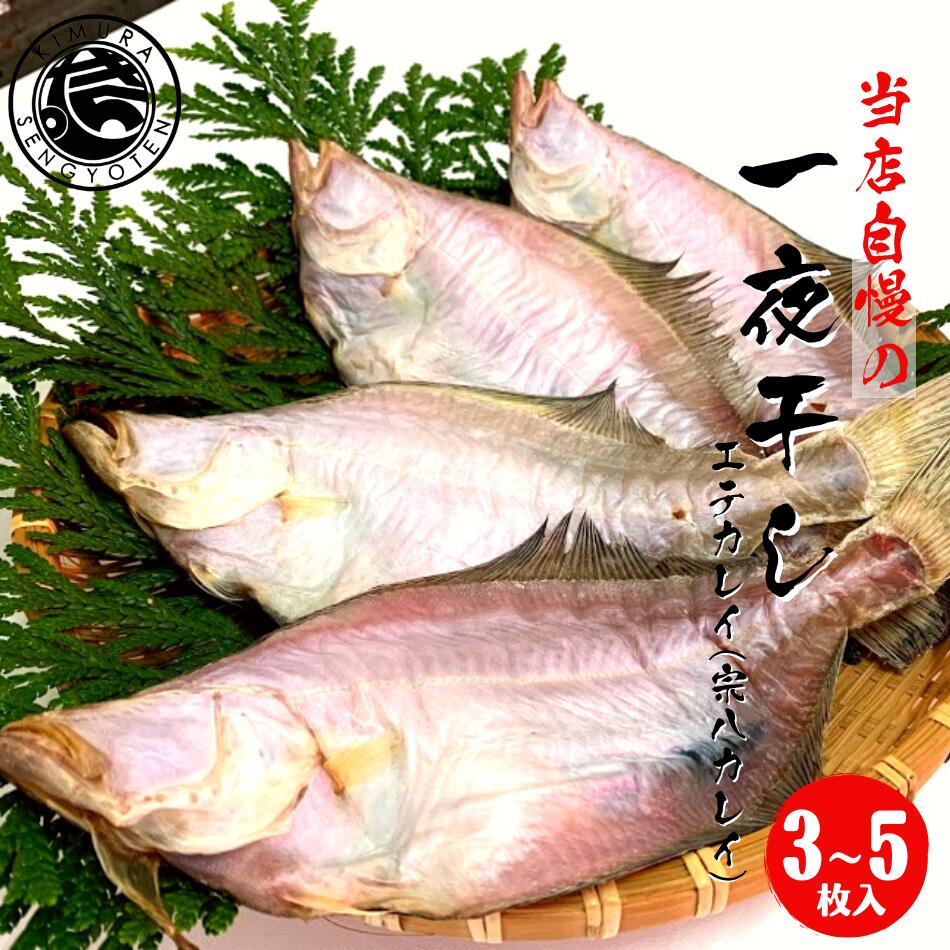 【当店自家製 自慢の一夜干し】 カレイ 干物 3〜5枚入り (1枚 120g〜170g) 干物ギフト 干カレイ カレイ かれい 一夜干し 干物 ギフト 贈り物 美味しい おいしい エテカレイ 宗八カレイ 木村鮮魚店