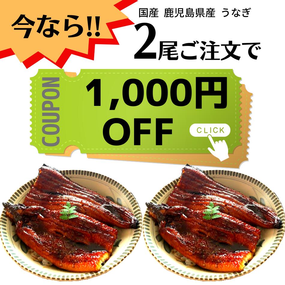 国産 うなぎ 蒲焼き 特大サイズ 1尾 190g 前後 敬老の日 鹿児島 鰻 ウナギ うなぎの蒲焼 蒲焼 鰻の蒲焼 美味しい うなぎ蒲焼 贈り物 土用丑の日 父の日 母の日 ギフト プレゼント［送料無料］【2尾ご注文で1,000円OFFクーポン】