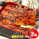 【母の日ギフト】国産うなぎ 蒲焼き 3尾セット 鹿児島 特大サイズ 190g前後 鰻 ウナギ うなぎの蒲焼 蒲焼 鹿児島産 鰻の蒲焼 美味しい うなぎ蒲焼 贈り...