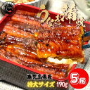 国産うなぎ 蒲焼き 5尾セット 鹿児島 特大サイズ 190g前後 鰻 ウナギ うなぎの蒲焼 蒲焼 鹿児島産 鰻の蒲焼 美味しい うなぎ蒲焼 贈り..