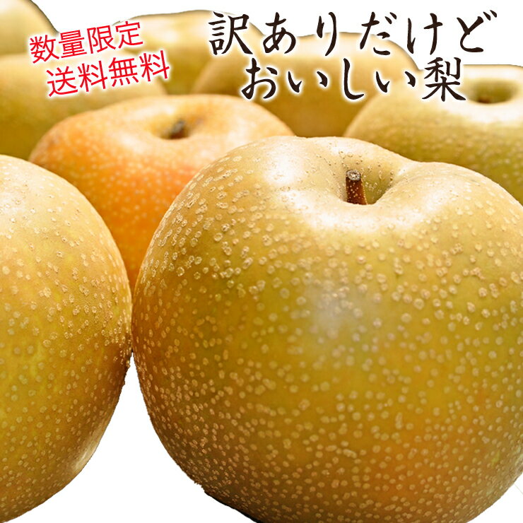 【送料無料】【数量限定】【訳あり】　長野県産　梨　約4kg　8玉〜20玉