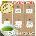 お茶 緑茶 荒茶 静岡茶 深蒸し茶 茶和家 自家製 掛川一番茶 100gセット 1本~17本選べるセット