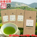 新春初売り お茶 福袋 茶和家 カテキンまるごと深蒸し掛川茶300g 今だけ 一押し掛川茶50gプレゼント 送料無料