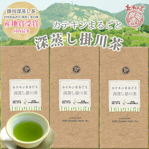 2023年産地賞受賞 茶和家 カテキンまるごと深蒸し掛川茶 300g 1,000円 送料無料 プチギフト 柄が選べる掛け紙ラッピング 無料