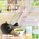 母の日 お茶 緑茶 ギフト 掛け紙20種 写真印刷 産地賞受賞17000箱完売 茶和家 掛川深蒸茶 一筋77年 100g2種（初摘100g 特八100g）【初節句内祝い 誕生日 帰省土産 おしゃれ かわいい 名入れ メッセージ付 プレゼント 出産内祝い 内祝い】