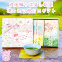 【ネット限定】ほうじ茶／2.5g×50 お茶 ティーバッグ 茨城県産 松田製茶 猿島茶 日本茶インストラクター監修 ブラックアーチ農法 体から温まる これからの季節に TBG-056