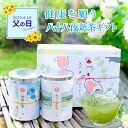 父の日 新茶 2025年 初節句 出産 内祝い 緑茶 お茶 ギフト 出産内祝い 茶和家 健康を願う 八十八夜 掛川深蒸し茶100g×2缶【初摘み茶 特上八十八夜茶】【内祝い お返し 誕生日 名入れ メッセージ付 プレゼント 高級】