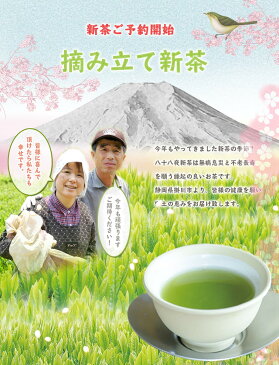 お茶 煎茶 静岡茶 掛川茶 深蒸し茶 八十八夜茶 100g 全国茶品評会 産地賞受賞 掛川深蒸し茶