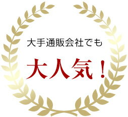 C SERIES(Cシリーズ) 風呂床の洗浄剤【お試しサイズ】 / 1回分 お試し 浴室の床をピカピカに！ 除菌 お風呂用洗剤 カビ ぬめりに